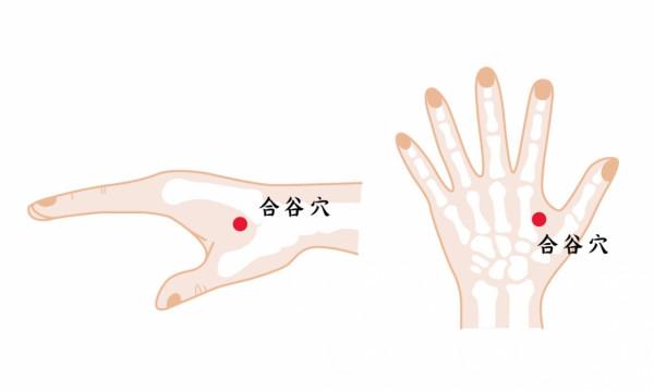 失眠多夢、頭痛頭脹、目眩頭暈？中醫：調暢情志開四關，事半功倍