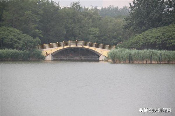 塘沽免費公園值得遊，順其自然地體驗，領略不一樣風景