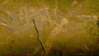 看！4000年前的“奧運會”