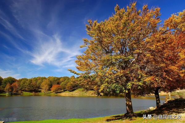 多事之秋,糖尿病患者一定要牢記這6個注意事項,才能避免血糖波動 多事之秋,糖尿病患者一定要牢記這6個注意事項,才能避免血糖波動