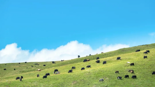 甘肅15個絕美旅行地,疫情過後,來一次吧,飽覽西北極致美景 甘肅15個絕美旅行地,疫情過後,來一次吧,飽覽西北極致美景
