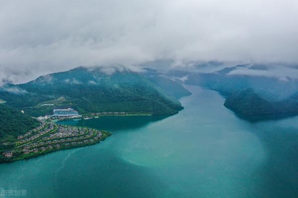 千島湖的“淨水魚”:鰱鱅放養60多年,水庫“魚王”到底有多大? 千島湖的“淨水魚”:鰱鱅放養60多年,水庫“魚王”到底有多大?