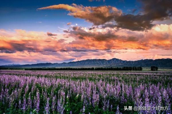 打卡中國最美邊防線新G219從這裡開始