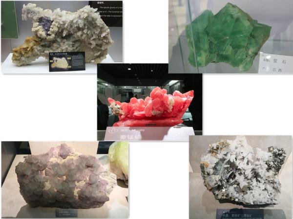 地質博物館裡千奇百怪的礦石 地質博物館裡千奇百怪的礦石