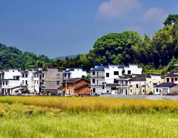 廣東水潭底發現大量女性遺骸，考古隊調查後，揭開一段殘忍黑歷史