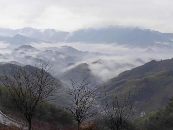 浙江最美公路 浙江最美公路