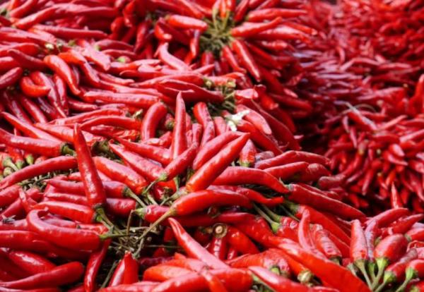 1947年,毛主席警衛員在昏迷中被送進太平間,死裡逃生後間諜浮現 1947年,毛主席警衛員在昏迷中被送進太平間,死裡逃生後間諜浮現