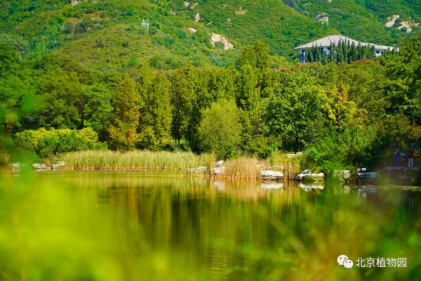 橙黃橘綠時,與您共相約 橙黃橘綠時,與您共相約