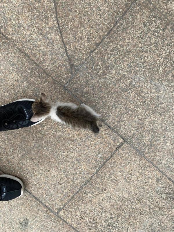 香山景區半日遊