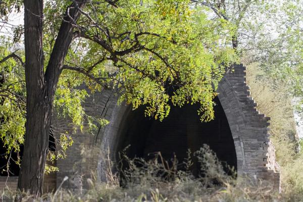 山西一古落村，鐵梨花取景基地，現如今雜草叢生