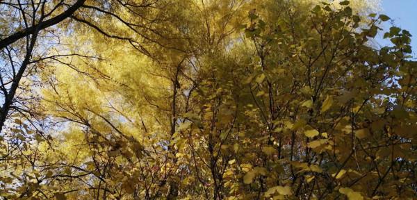 小時候的呼和浩特記憶片段(十二)人民公園 小時候的呼和浩特記憶片段(十二)人民公園