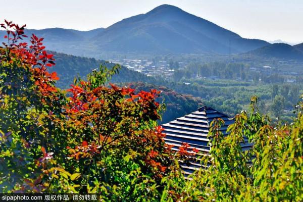 最新實拍!北京這裡紅葉美翻了!關鍵人少還免費,快來打卡 最新實拍!北京這裡紅葉美翻了!關鍵人少還免費,快來打卡