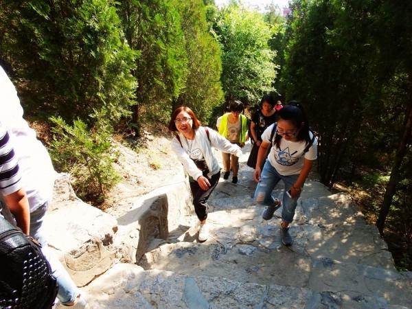 突破傳統登山杖設計!爬山累了用來按摩,還能當作凳子給手機充電 突破傳統登山杖設計!爬山累了用來按摩,還能當作凳子給手機充電