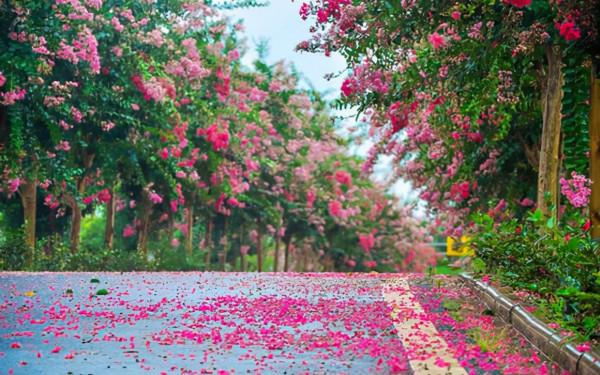 武漢高顏值景點走紅,號稱“武漢後花園”,距市中心50公里 武漢高顏值景點走紅,號稱“武漢後花園”,距市中心50公里