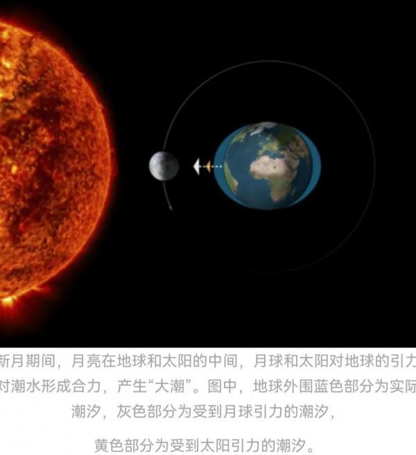 乾貨!如何利用潮汐釣魚? 乾貨!如何利用潮汐釣魚?