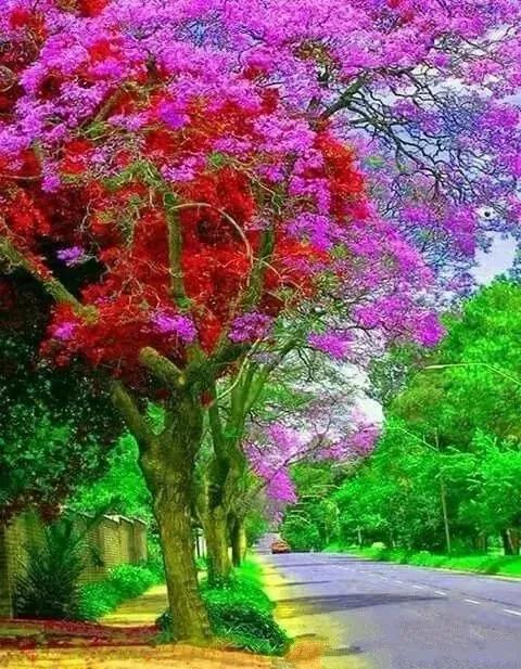 分享~中國最美的風景圖 太美啦