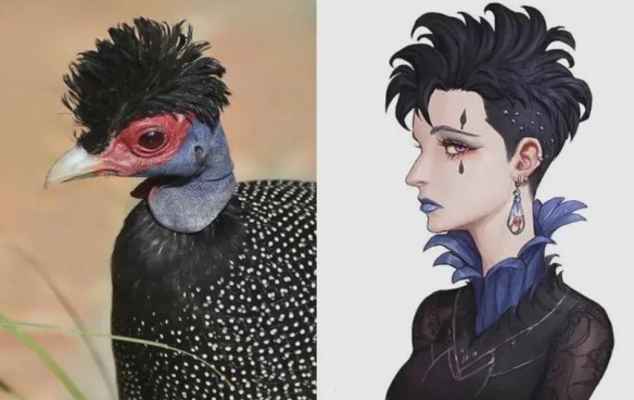 冷門動物擬人 這麼不萌的品種都可以的嗎？