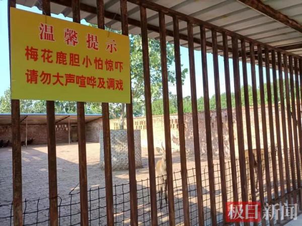 看了個寂寞,這家動物園動物竟是畫在牆上的? 看了個寂寞,這家動物園動物竟是畫在牆上的?