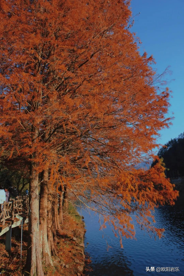 2022，遇見更好的自己！12個月，12種色彩，​遇見12份美麗好心情