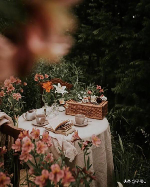 四宮冥王天蠍的救贖在哪裡？