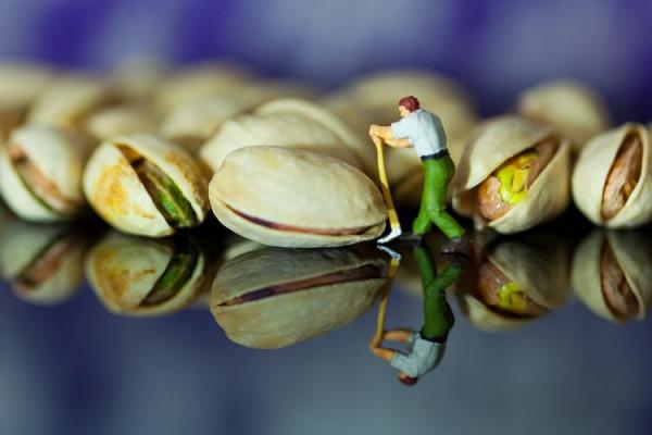 清朝人發現&OpenCurlyDoubleQuote;小人國&rdquo;，人們身高僅23釐米，國王的坐騎是隻&OpenCurlyDoubleQuote;雞&rdquo;