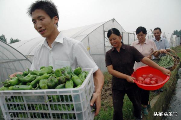戶口“非轉農”開始辦理,4類戶口可以順利回村 戶口“非轉農”開始辦理,4類戶口可以順利回村