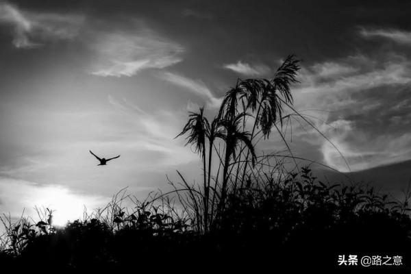 清代奇案：因愚昧攜妻遠行，輕信朋友被謀財奪妻，一番曲折終雪冤