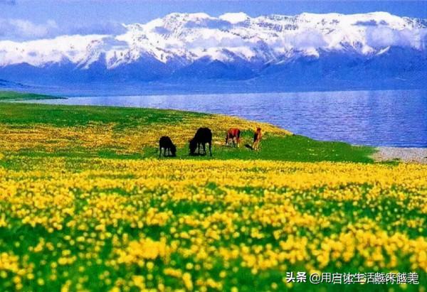 新疆是一個美麗的地方