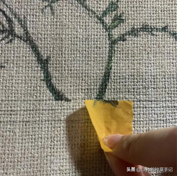 為什麼我勸女生買“假包”? 為什麼我勸女生買“假包”?