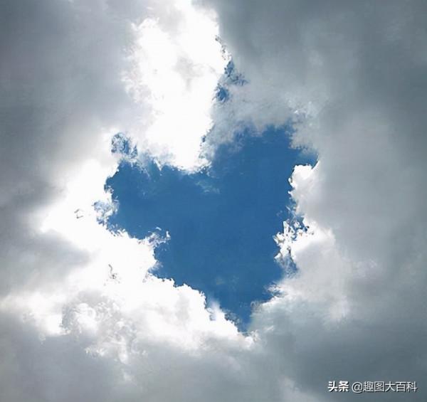 41張“活久未見”的巧合圖片，讓人感覺很難相信這是真的