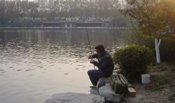 寒冬鯽魚不開口，加點新增劑才能撬開魚嘴