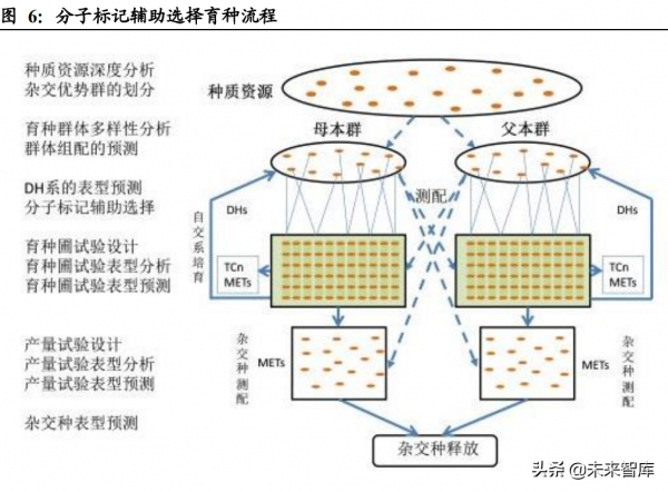 農林牧漁行業投資策略：民生之本，大國根基