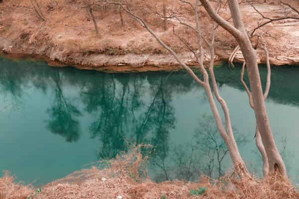 以前隨處都可見的“土鯽”，到底去哪了？還會不會回來？