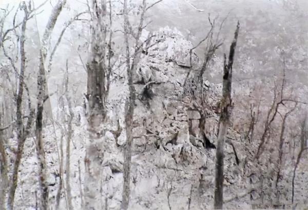 英雄梁嶺在老山戰役中犧牲後，戰友在他身上發現一首華麗的遺詩