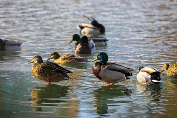 一起走進塔城文化廣場