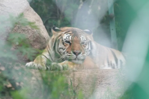 「諾粉來稿」14萬公里奇駿再出發，5000公里暢遊西北