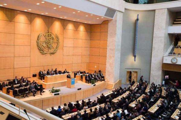 事關75億人安危！中日在聯合國交鋒，中方寸步不讓，日方啞口無言