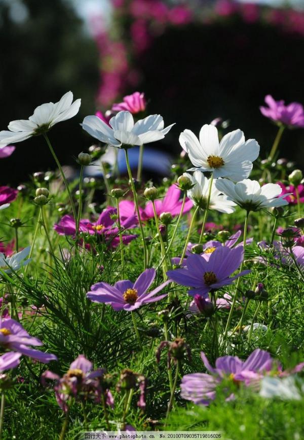 刺穿人心的三個故事 刺穿人心的三個故事