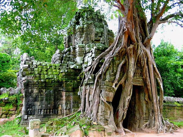 地球上50個最空靈的地方像走進童話中一樣
