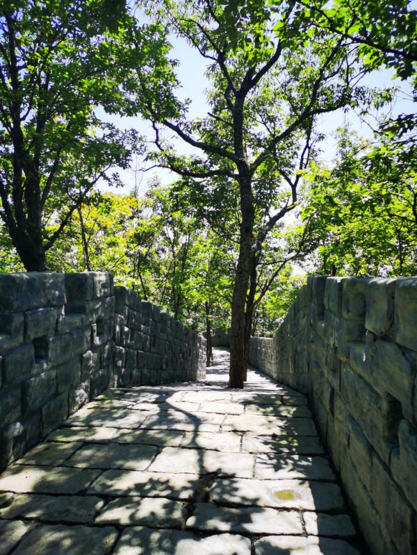 排名第一的最險寺廟，被任道長命名的秦嶺第一仙境，知道在哪裡嗎