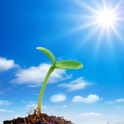 信用卡怎麼辦額度才高