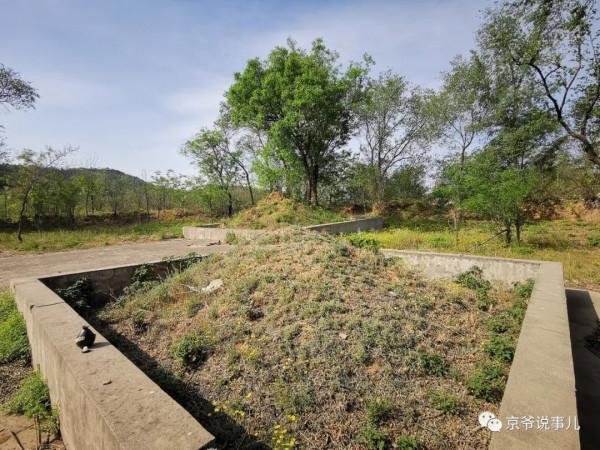 驚詫!京郊一古墓的“贔屓”居然回頭了 驚詫!京郊一古墓的“贔屓”居然回頭了