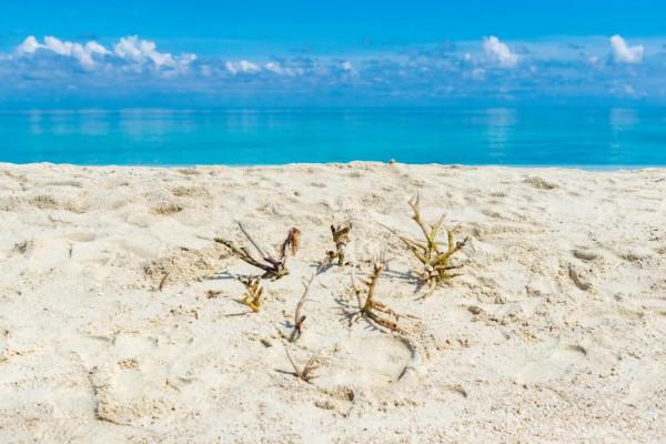 ​中國這7個“很特別”的地方,美如仙境,卻禁止外國人隨意進入 ​中國這7個“很特別”的地方,美如仙境,卻禁止外國人隨意進入