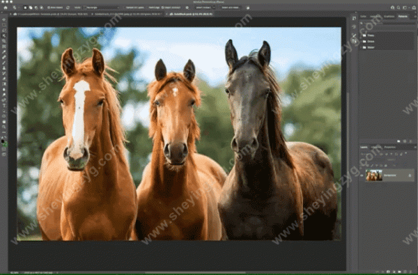 Adobe 2022全家桶來啦，PS新增一鍵換四季和懸停選擇黑科技