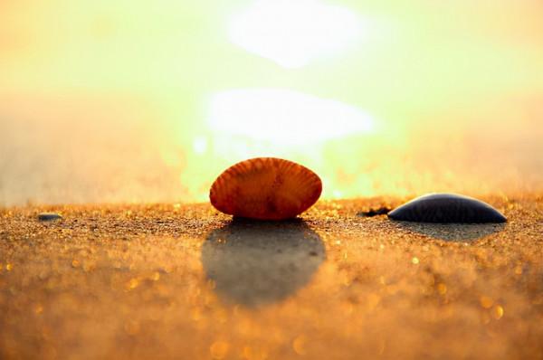 當你覺得焦慮,就讀一讀楊絳的這幾句話吧 當你覺得焦慮,就讀一讀楊絳的這幾句話吧