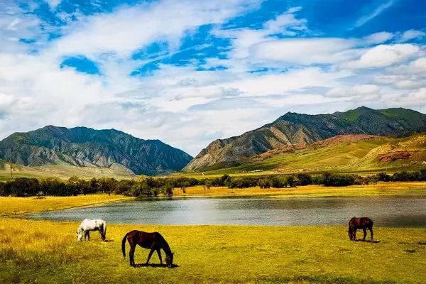 開往“中國最美秋天”6條自駕路線,條條都是NO.1,沿途美成天堂 開往“中國最美秋天”6條自駕路線,條條都是NO.1,沿途美成天堂