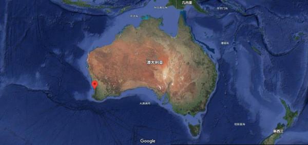 真要殺死300只袋鼠？澳洲政府：安置它們太費錢