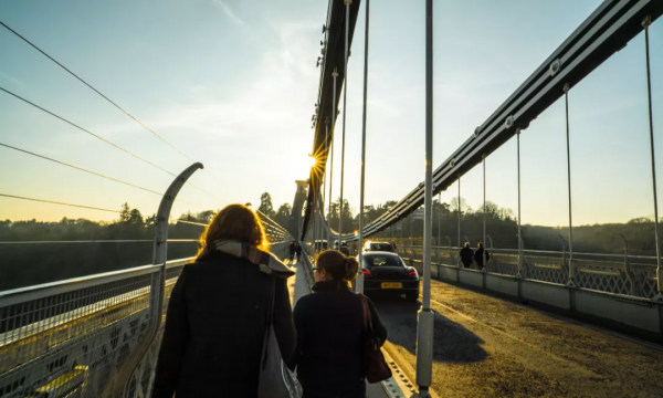 成年人之間的關係，本質是各取所需