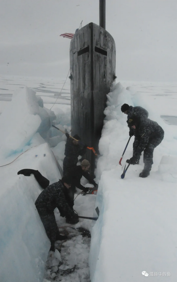被迫上浮的深海之狼(中) 被迫上浮的深海之狼(中)