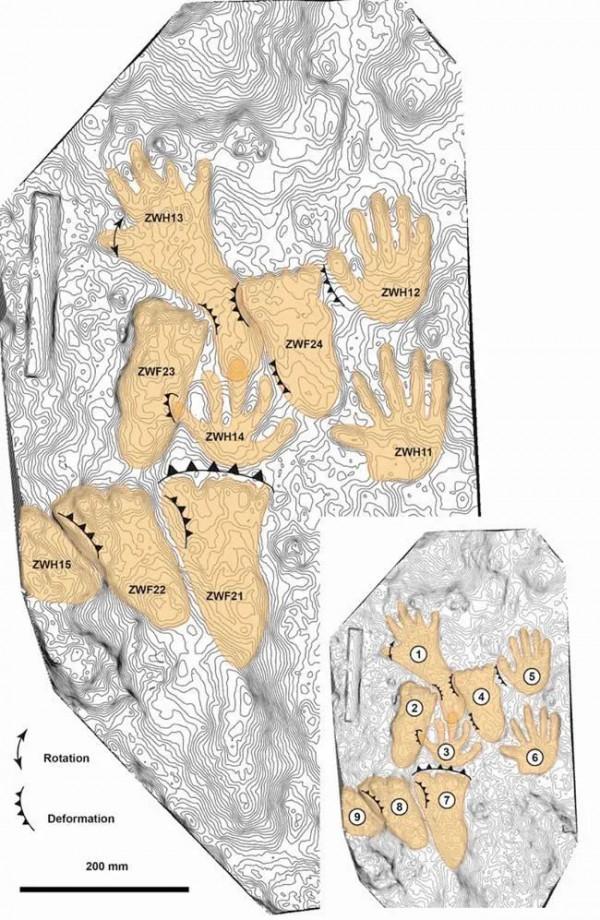 20萬年前,12歲小孩在青藏高原“塗鴉” 20萬年前,12歲小孩在青藏高原“塗鴉”